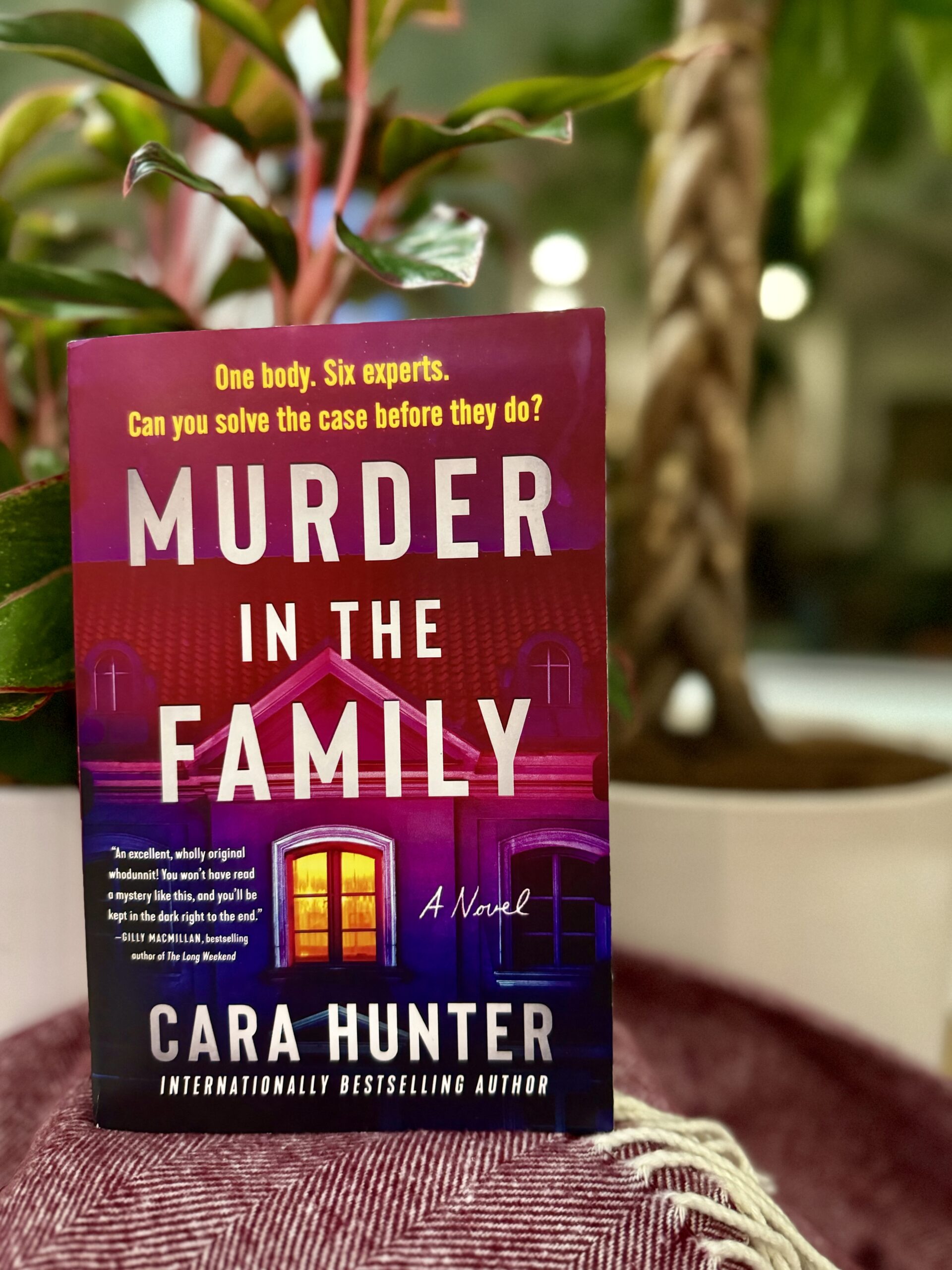 Murder in the Family: Cara Hunter plays at investigation