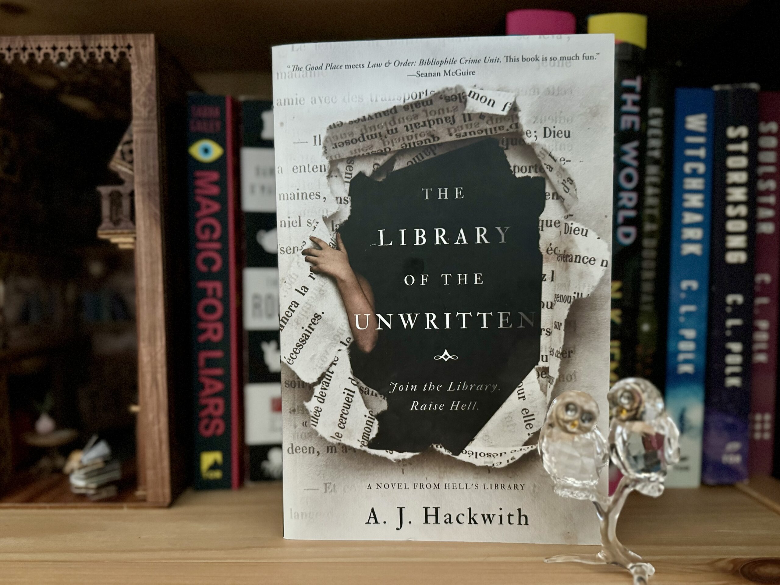The “bookish” bar: Mislabeling The Library of the Unwritten